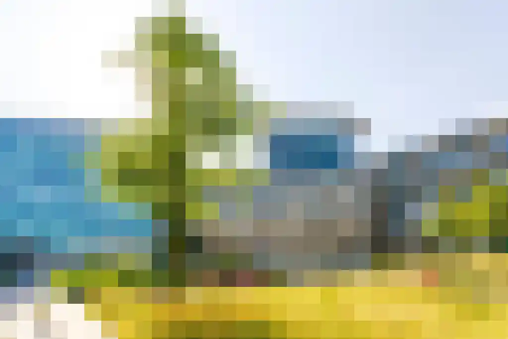 Bos en Lommerplantsoen 37 H Amsterdam thumbnail 16