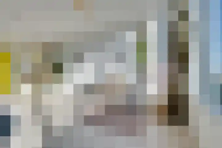 Bos en Lommerplantsoen 43 D Amsterdam thumbnail 20