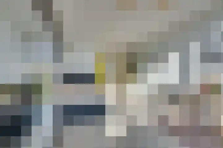 Bos en Lommerplantsoen 43 D Amsterdam thumbnail 21