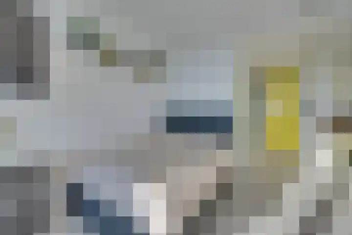 Bos en Lommerplantsoen 43 D Amsterdam thumbnail 22