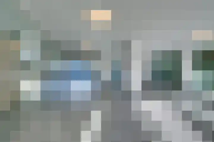 Bos en Lommerplantsoen 43 D Amsterdam thumbnail 7