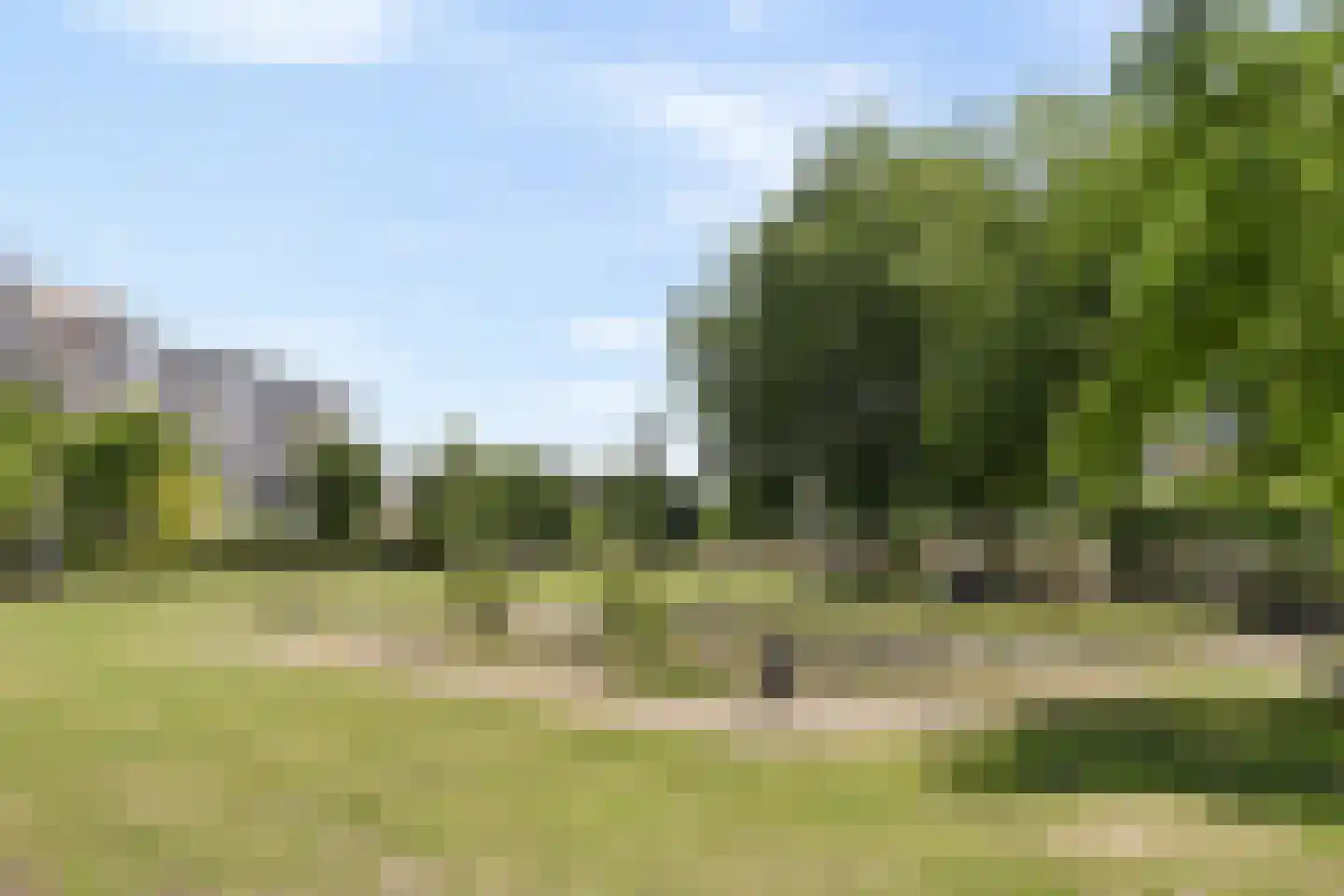 Bos en Lommerplantsoen 5 E Amsterdam thumbnail 18