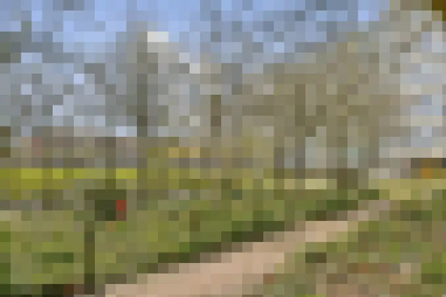 Bos en Lommerplantsoen 5 E Amsterdam thumbnail 19