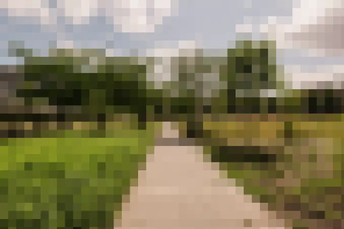 Bos en Lommerplantsoen 69 M Amsterdam thumbnail 15