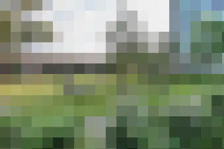 Bos en Lommerplantsoen 89 A Amsterdam thumbnail 27