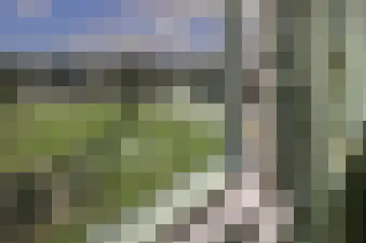 Bos en Lommerplantsoen 89 A Amsterdam thumbnail 8