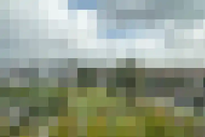 Bos en Lommerplantsoen 89 D Amsterdam thumbnail 11