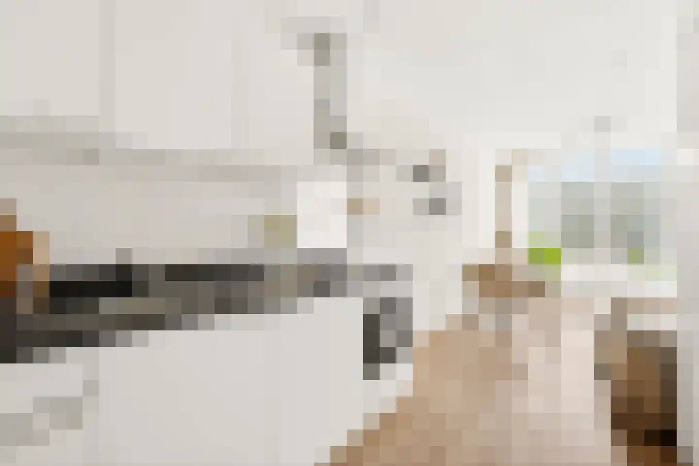Bos en Lommerplantsoen 9 H Amsterdam thumbnail 10