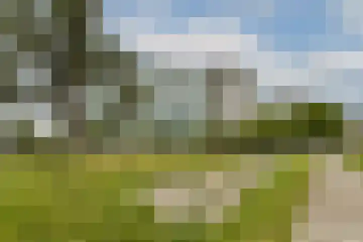 Bos en Lommerplantsoen 97 M Amsterdam thumbnail 23