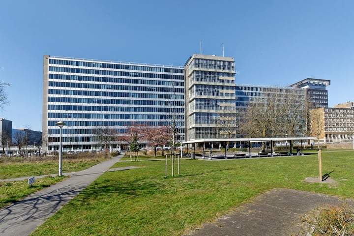 Bos en Lommerplantsoen 97C in Amsterdam foto