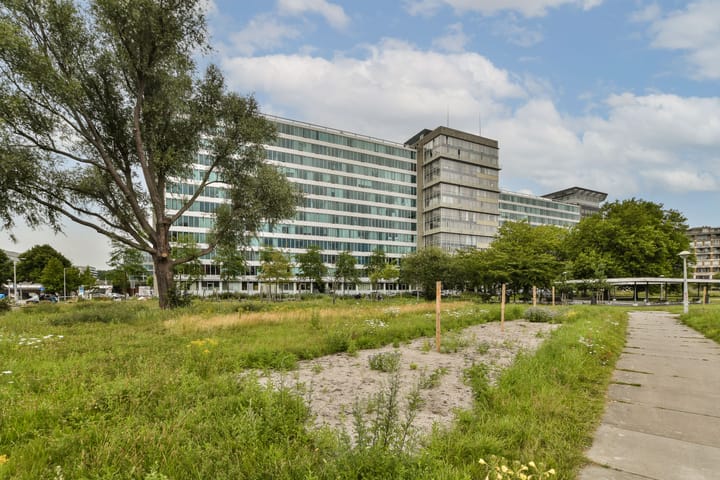 Bos en Lommerplantsoen 97M en Amsterdam foto