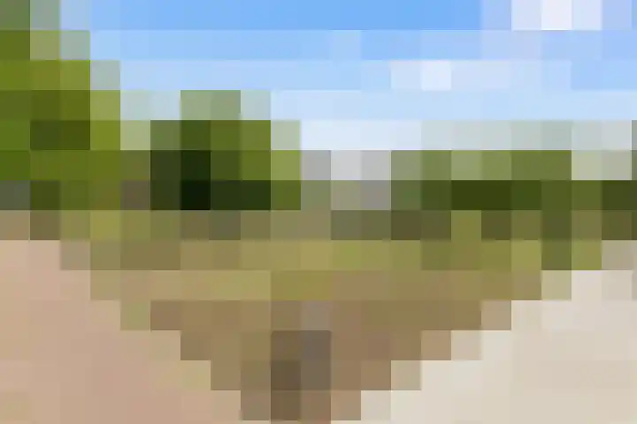 Bos en Lommerplantsoen 99 E Amsterdam thumbnail 25