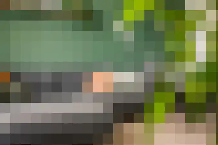 Bos en Lommerplantsoen 99 E Amsterdam thumbnail 8
