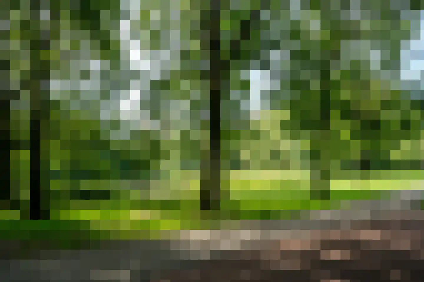 Bos en Lommerplantsoen 99 M Amsterdam thumbnail 26