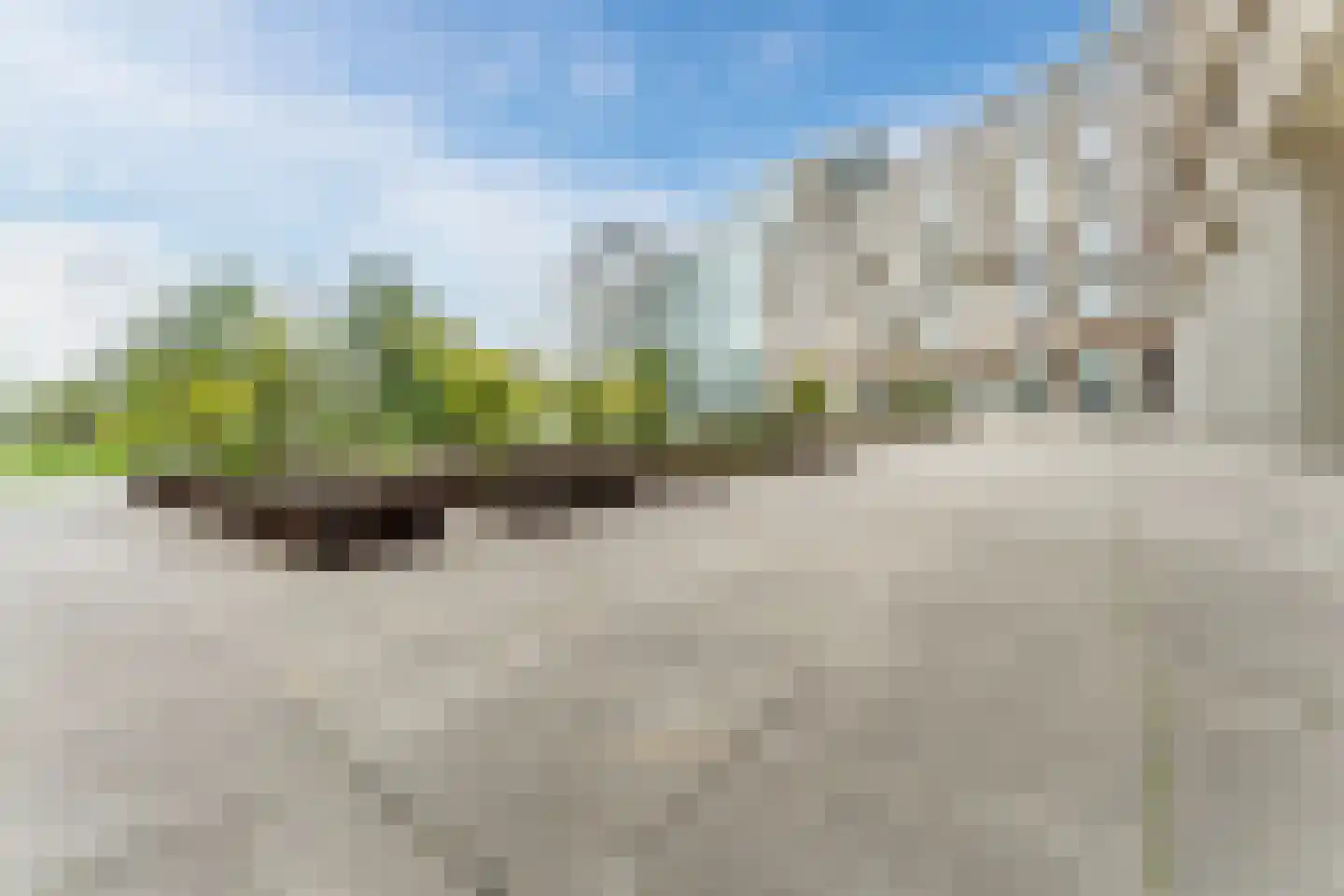 Bos en Lommerplein 109 Amsterdam thumbnail 35