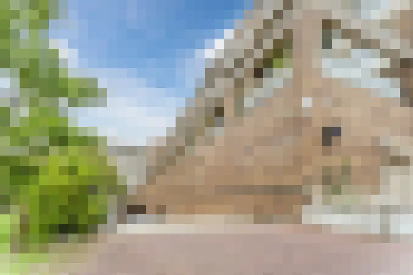 Bos en Lommerplein 109 Amsterdam thumbnail 36