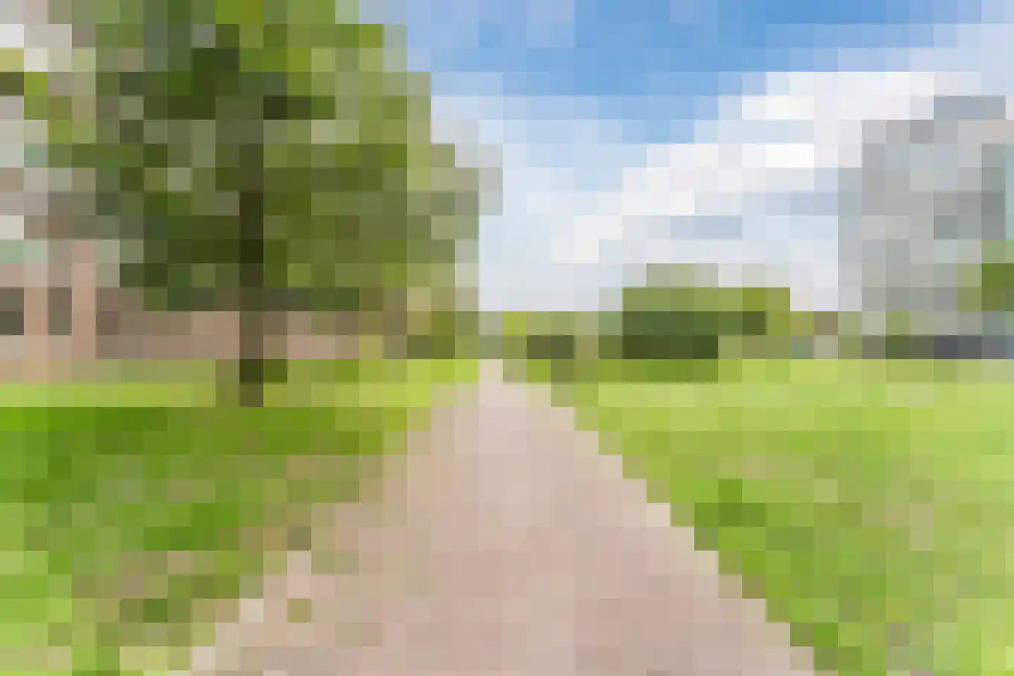 Bos en Lommerplein 109 Amsterdam thumbnail 37