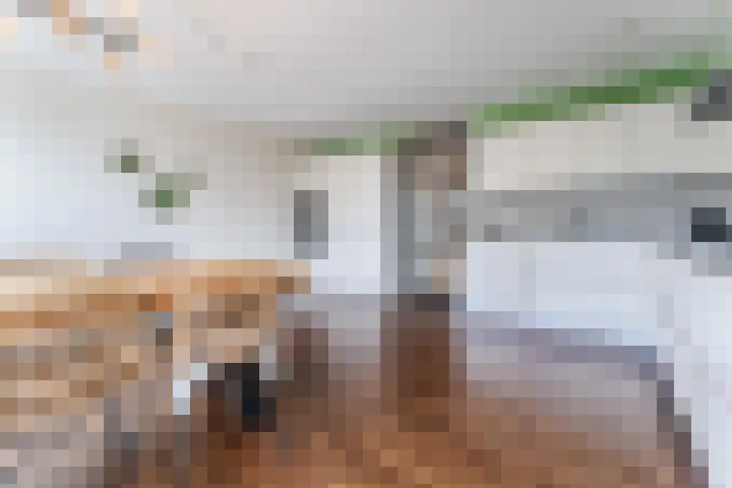 Bos en Lommerplein 109 Amsterdam thumbnail 7