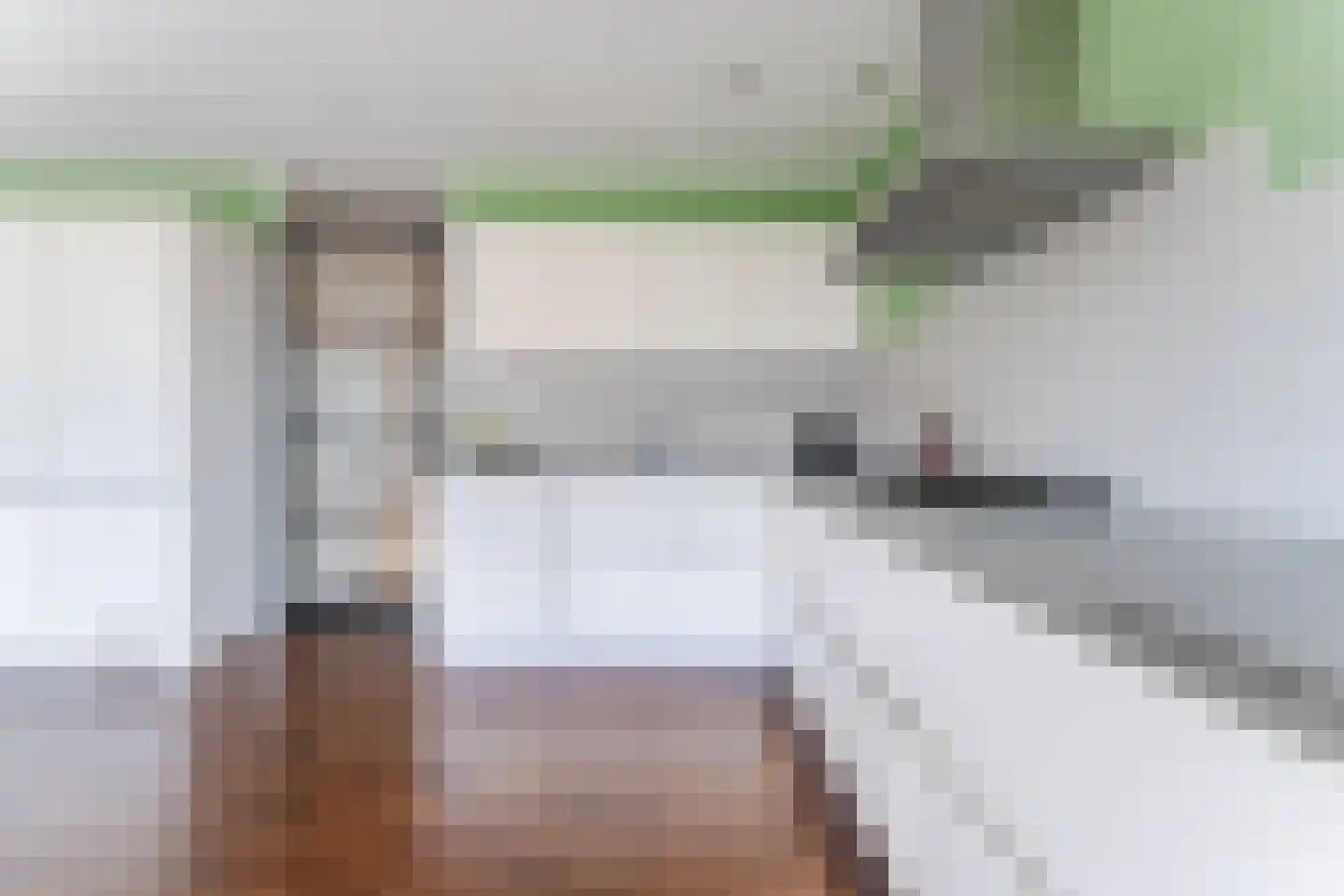Bos en Lommerplein 109 Amsterdam thumbnail 9