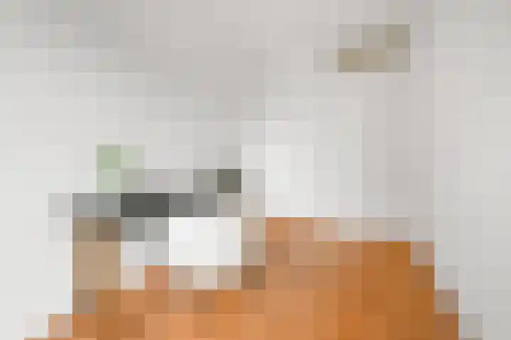 Bos en Lommerplein 145 Amsterdam thumbnail 32