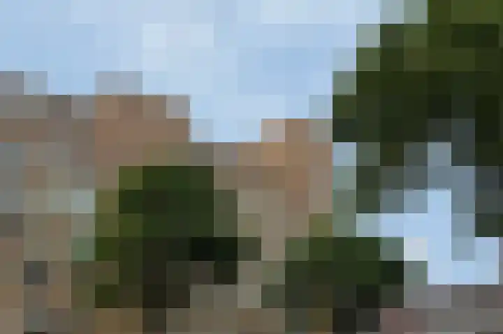 Bos en Lommerplein 145 Amsterdam thumbnail 45