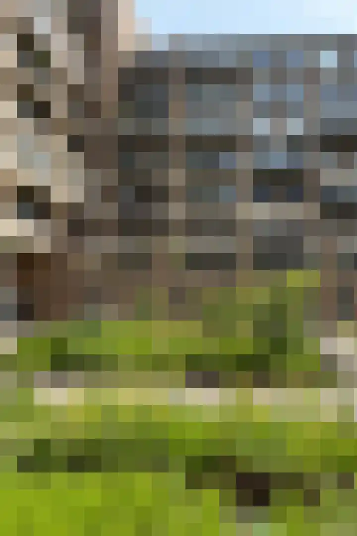 Bos en Lommerplein 145 Amsterdam thumbnail 56