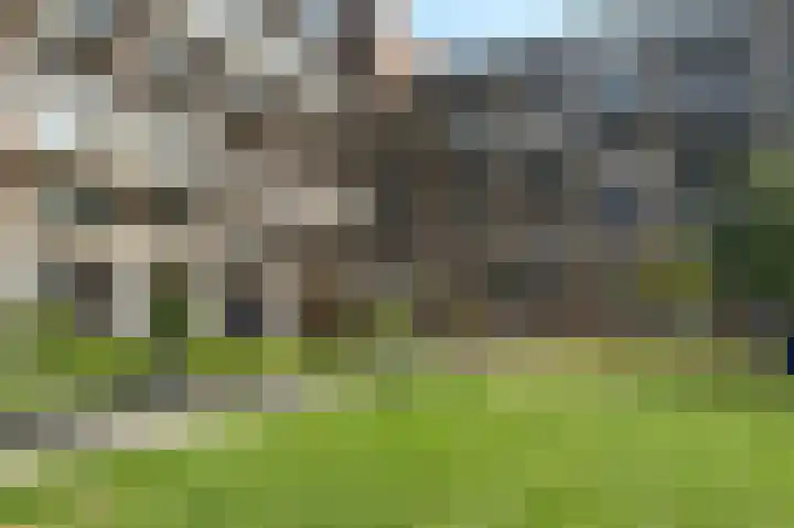 Bos en Lommerplein 145 Amsterdam thumbnail 57