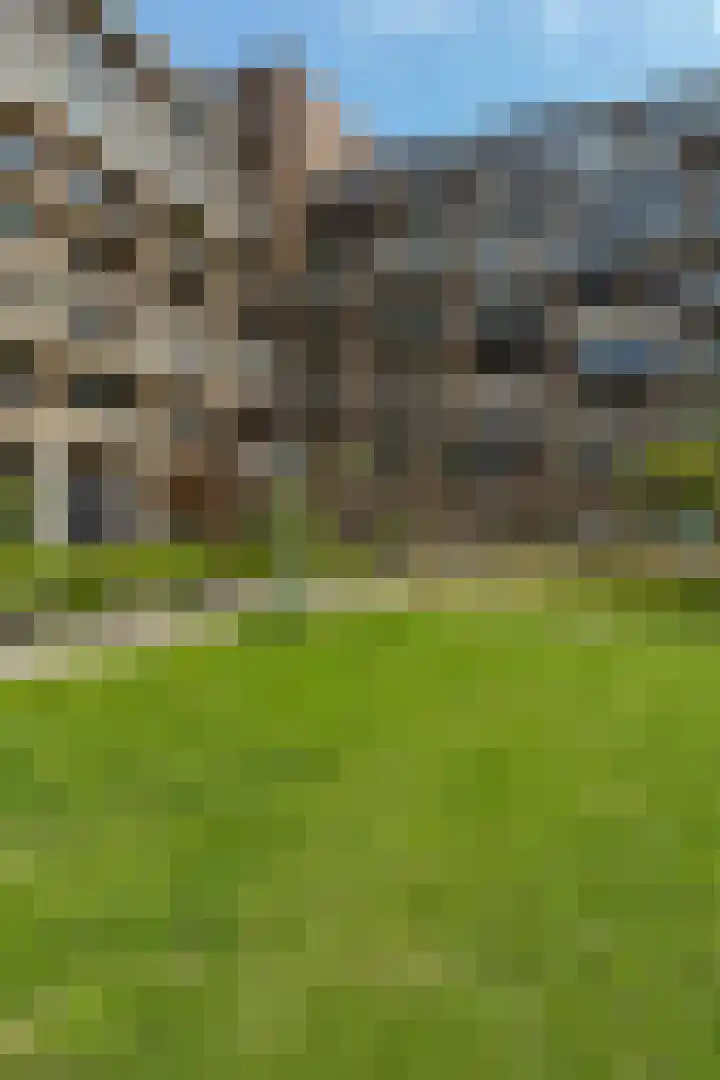Bos en Lommerplein 145 Amsterdam thumbnail 58