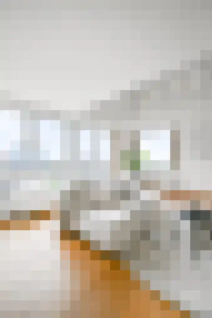 Bos en Lommerplein 145 Amsterdam thumbnail 7