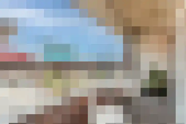 Bos en Lommerplein 210 Amsterdam thumbnail 4