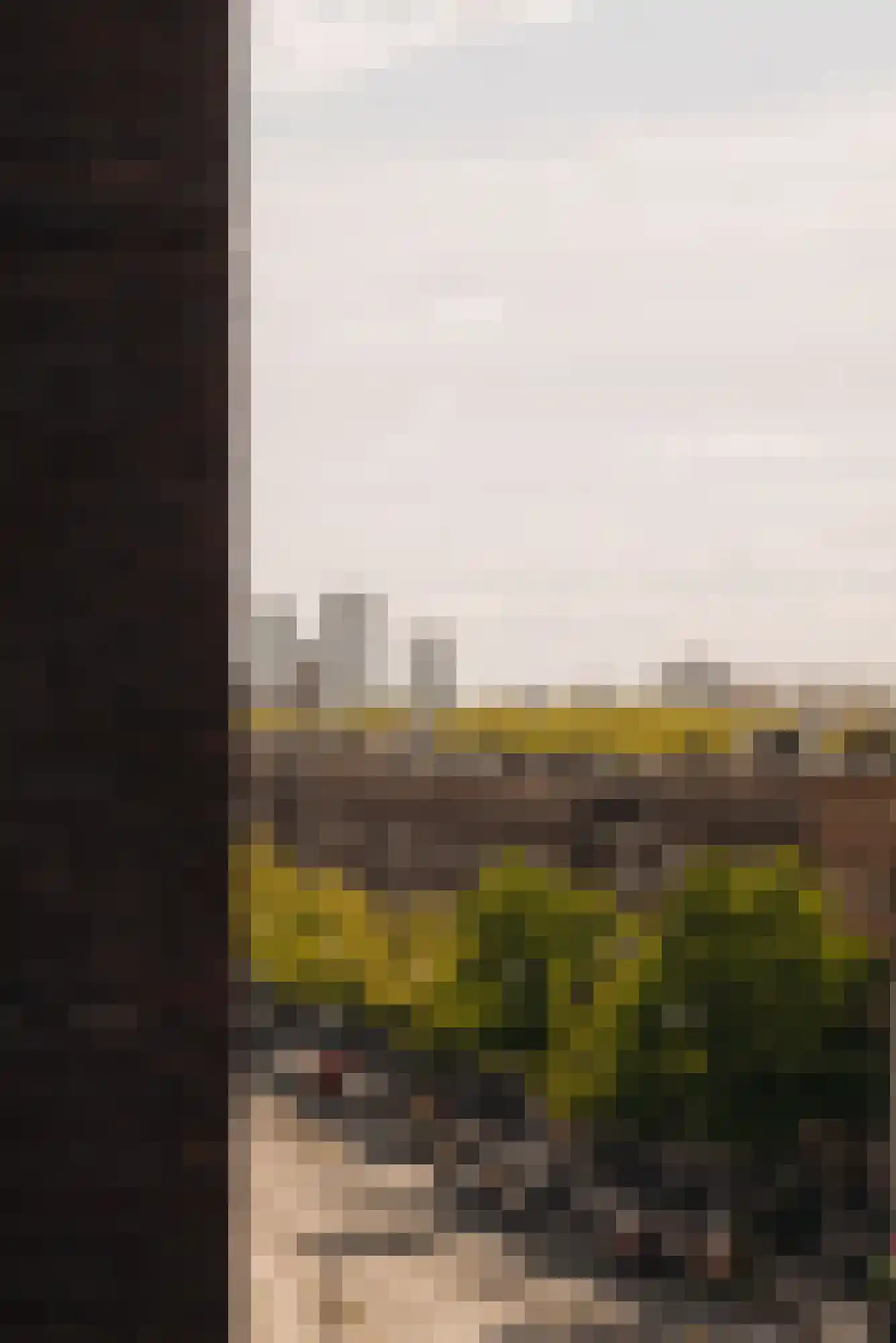 Bos en Lommerplein 228 Amsterdam thumbnail 20