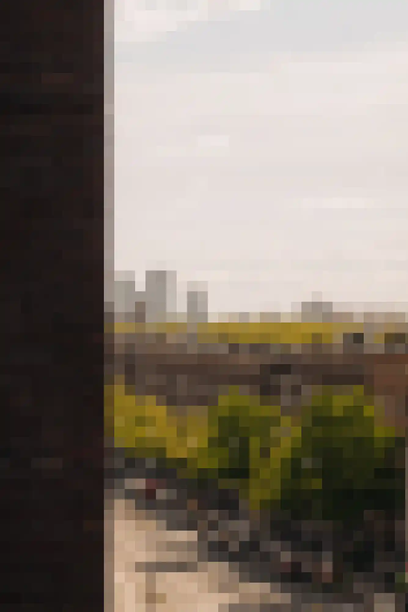 Bos en Lommerplein 228 Amsterdam thumbnail 20