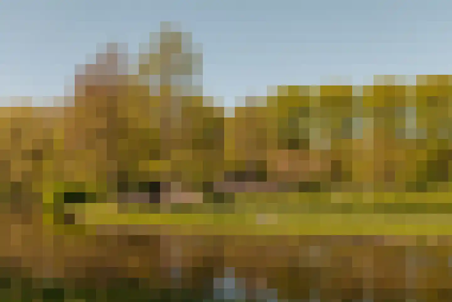 Bos en Lommerplein 228 Amsterdam thumbnail 25