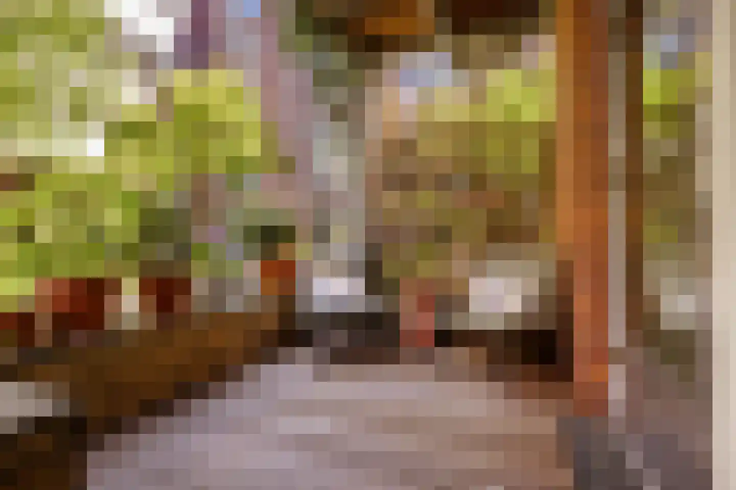 Bos en Lommerplein 30 Amsterdam thumbnail 22