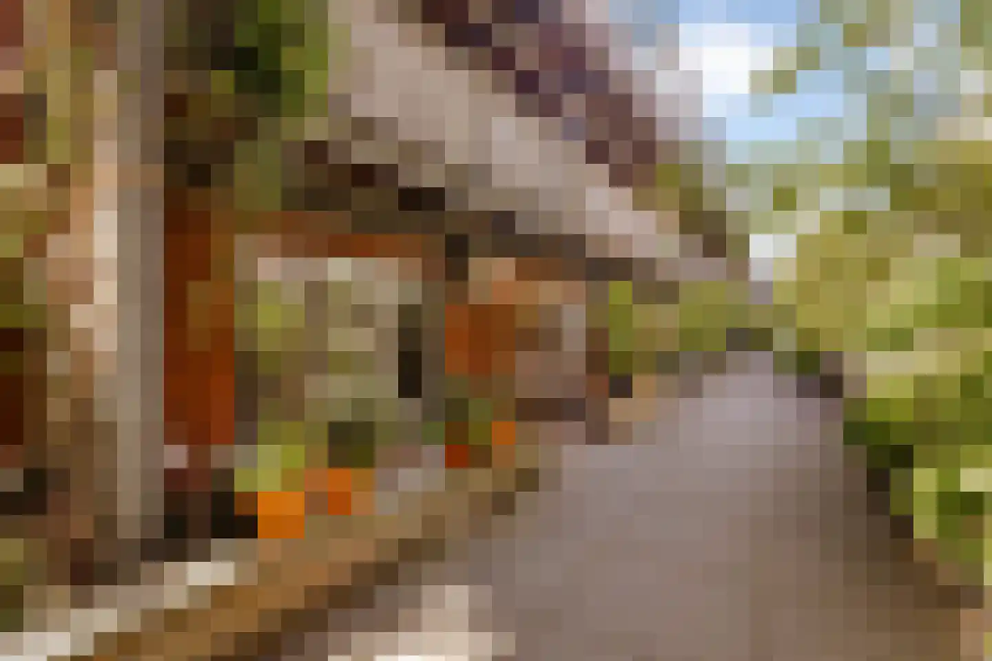 Bos en Lommerplein 30 Amsterdam thumbnail 23