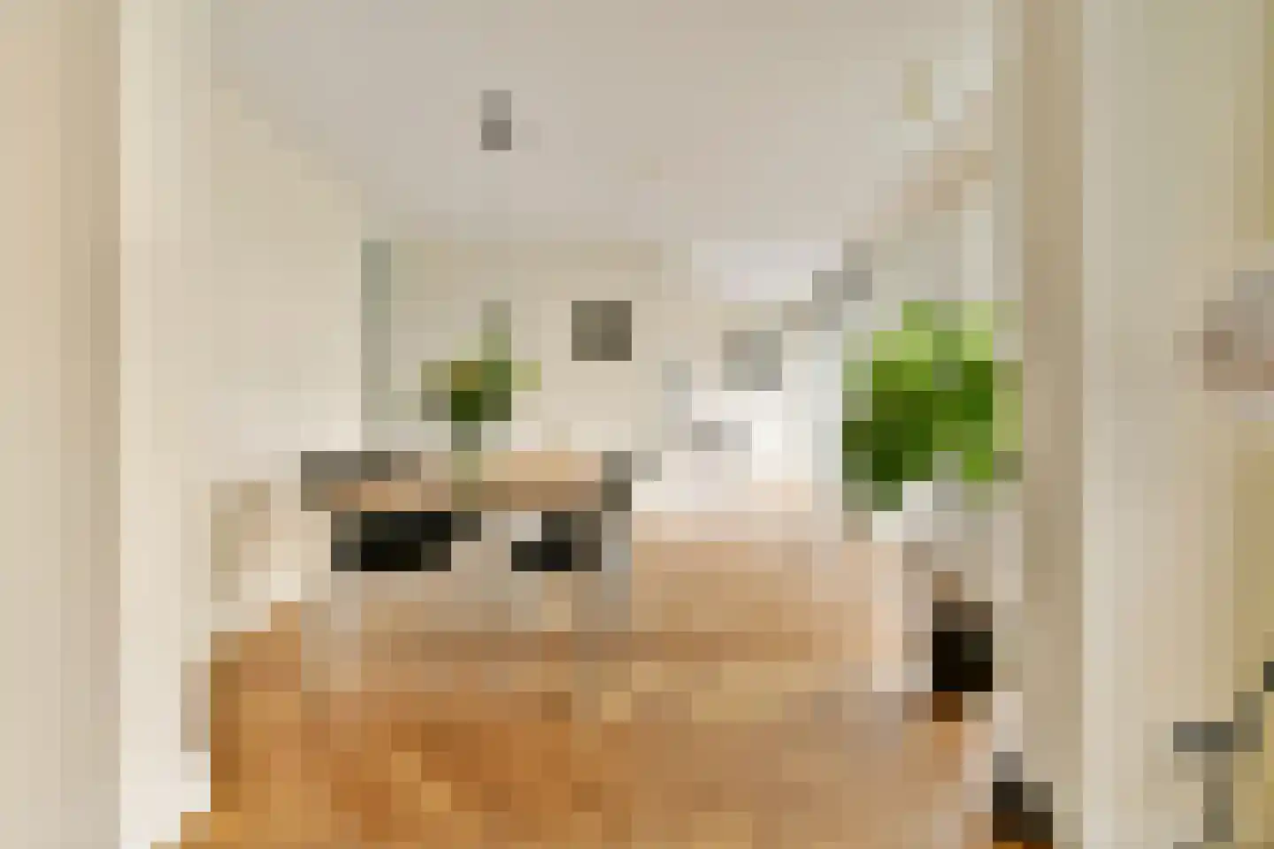 Bos en Lommerplein 39 Amsterdam thumbnail 11