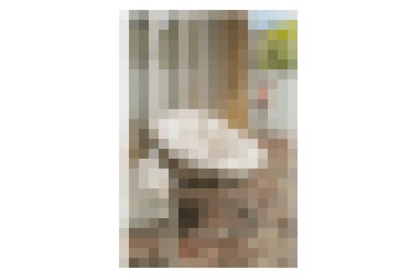 Bos en Lommerplein 39 Amsterdam thumbnail 16