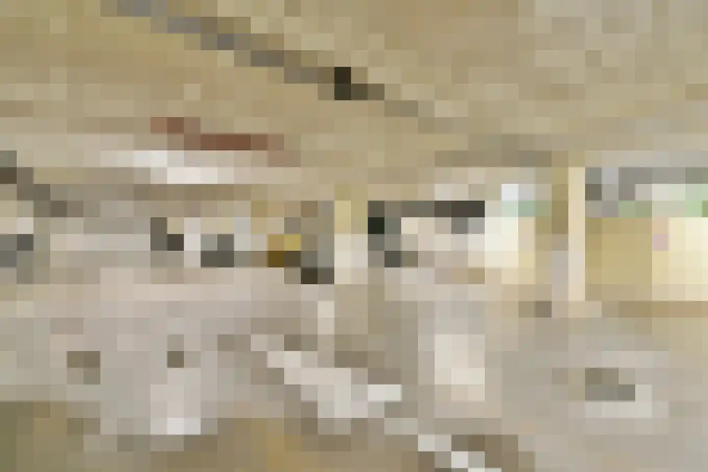 Bos en Lommerplein 39 Amsterdam thumbnail 32