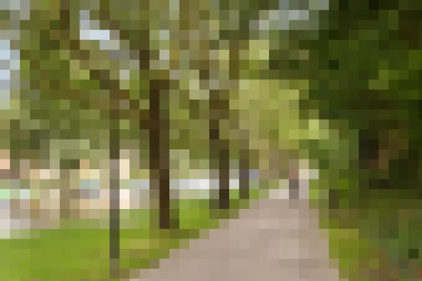 Bos en Lommerplein 39 Amsterdam thumbnail 35
