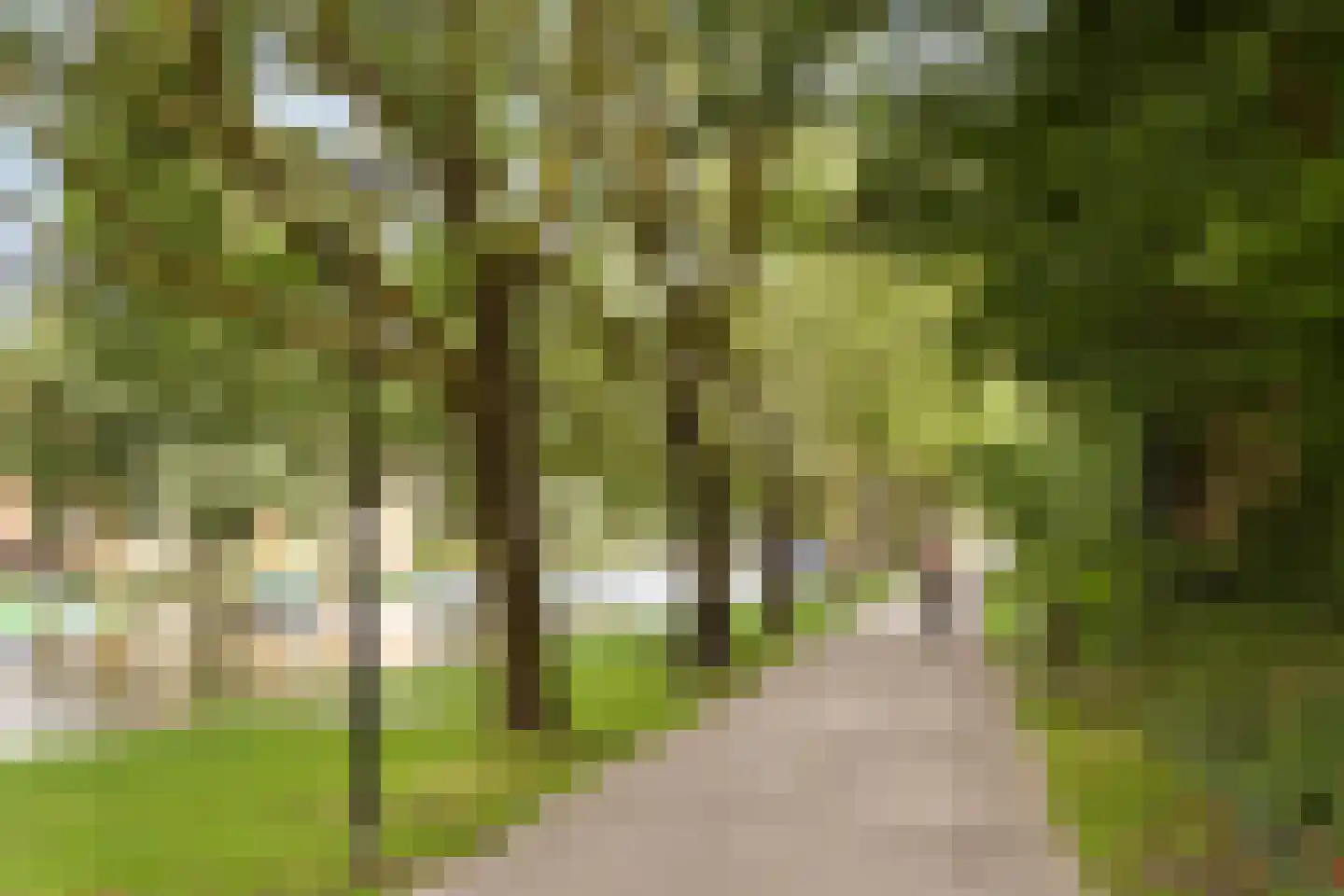 Bos en Lommerplein 39 Amsterdam thumbnail 35