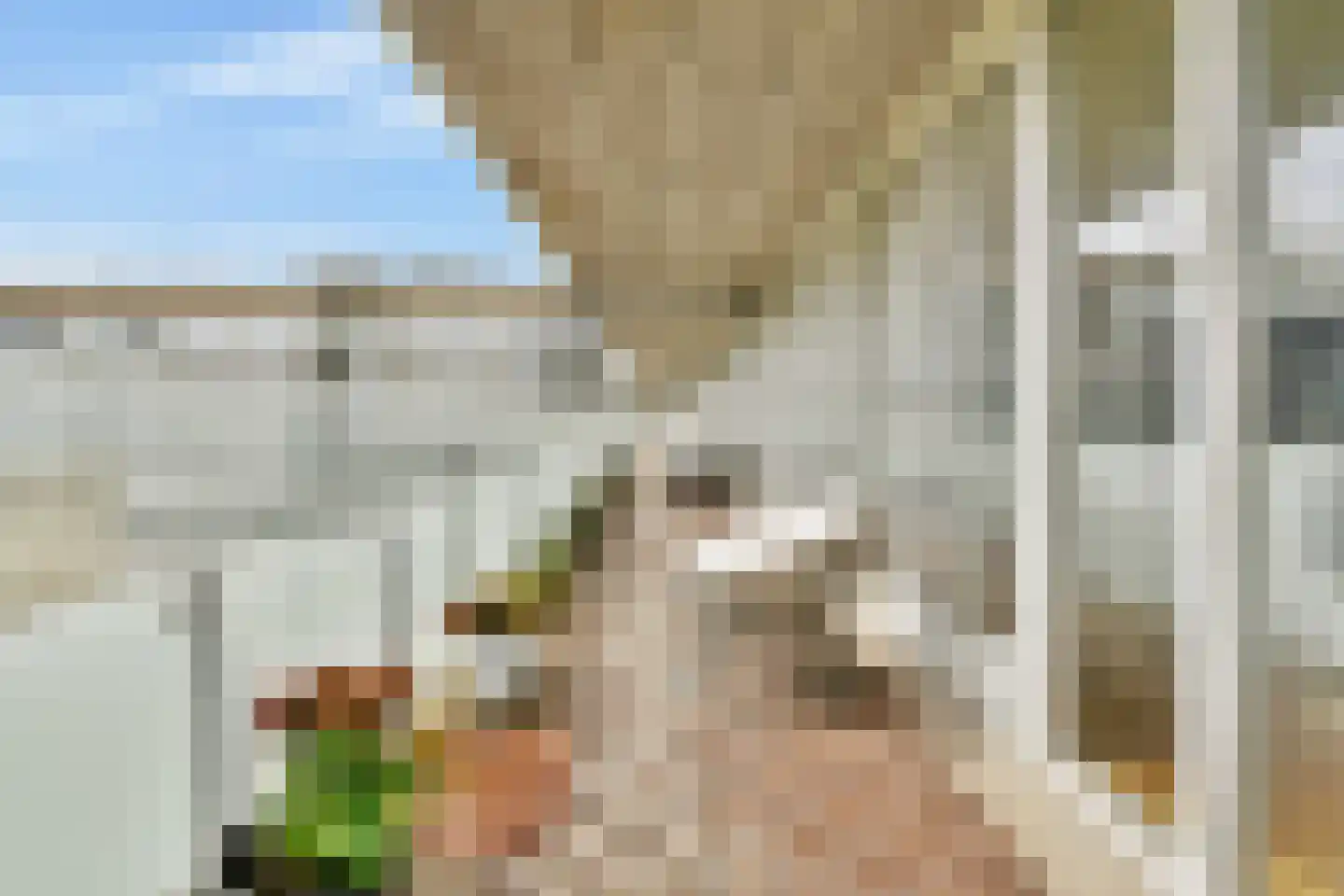 Bos en Lommerplein 39 Amsterdam thumbnail 4