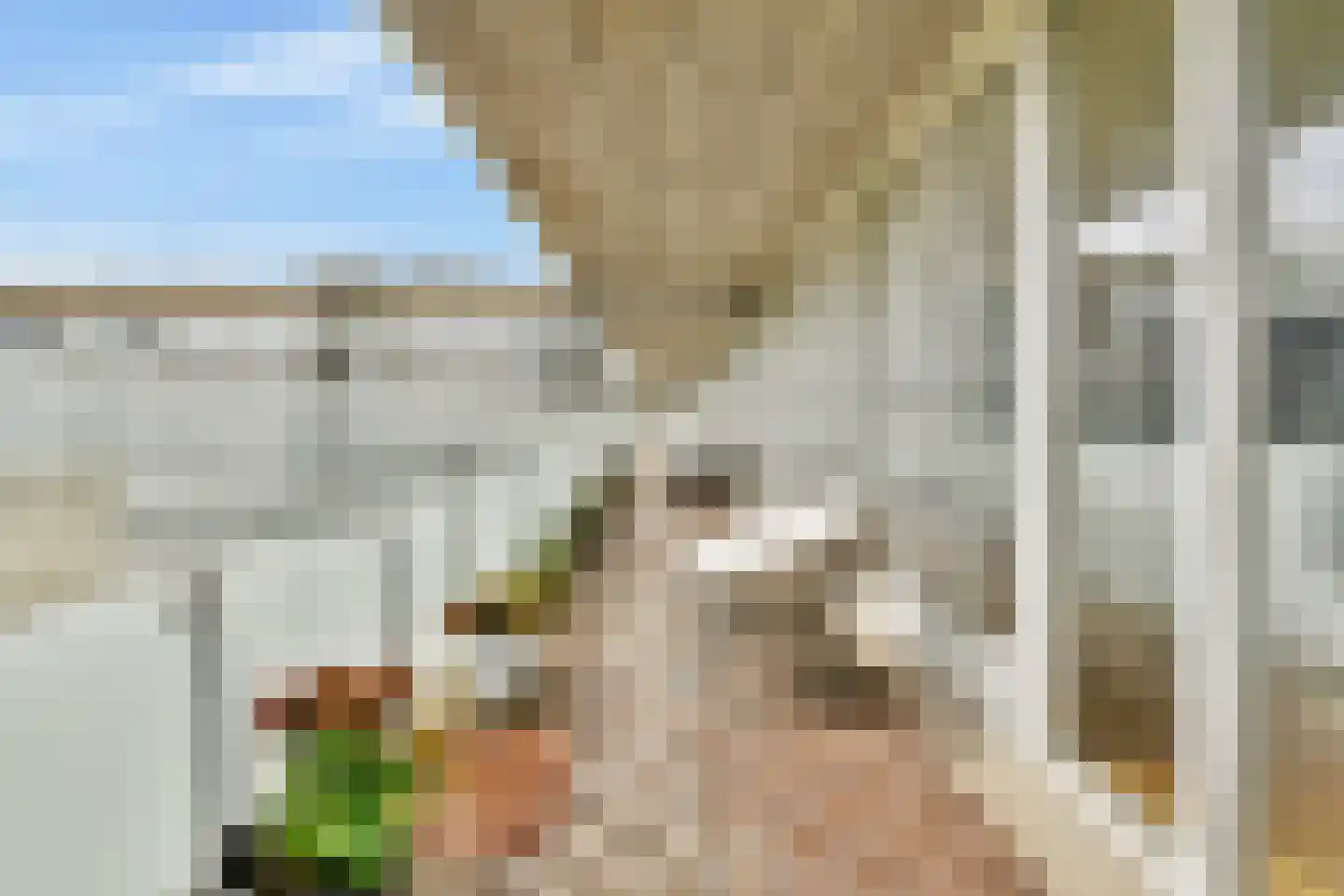 Bos en Lommerplein 39 Amsterdam thumbnail 4