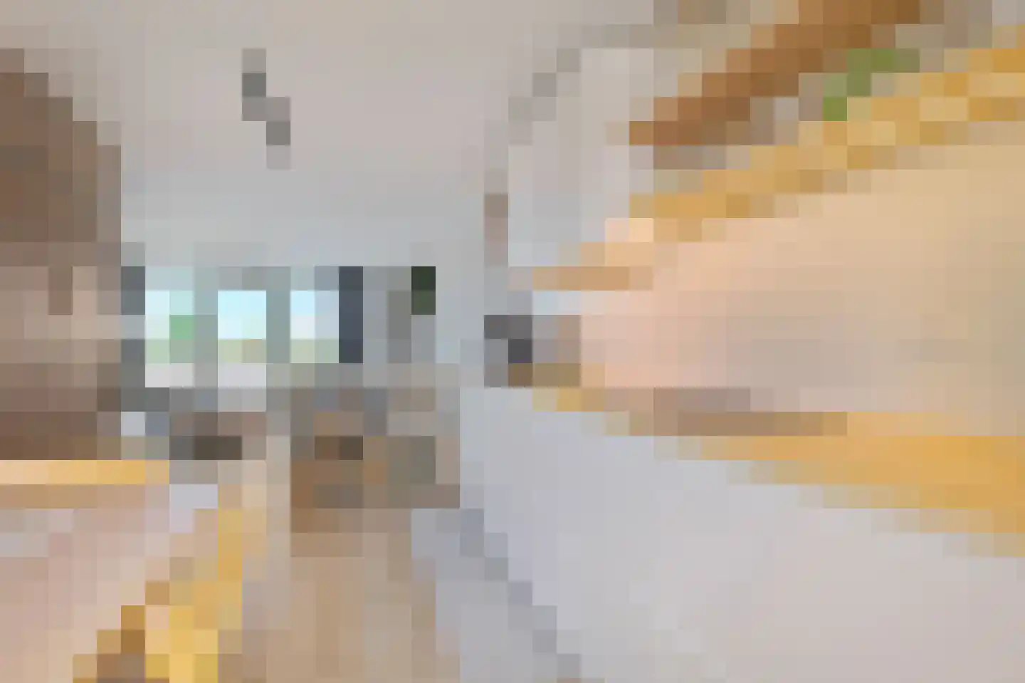 Bos en Lommerplein 46 Amsterdam thumbnail 19