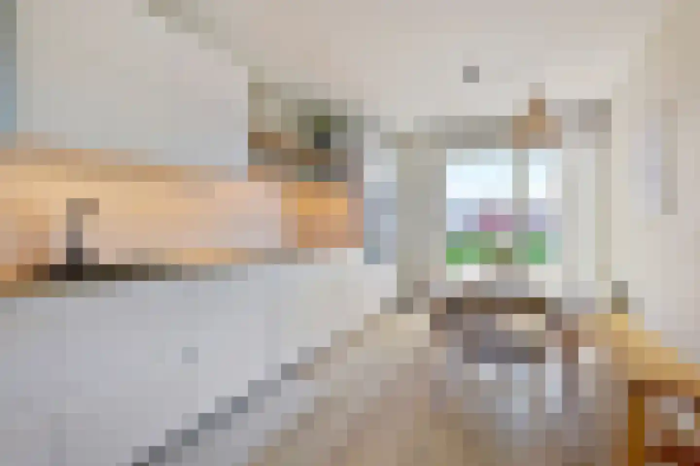 Bos en Lommerplein 46 Amsterdam thumbnail 21