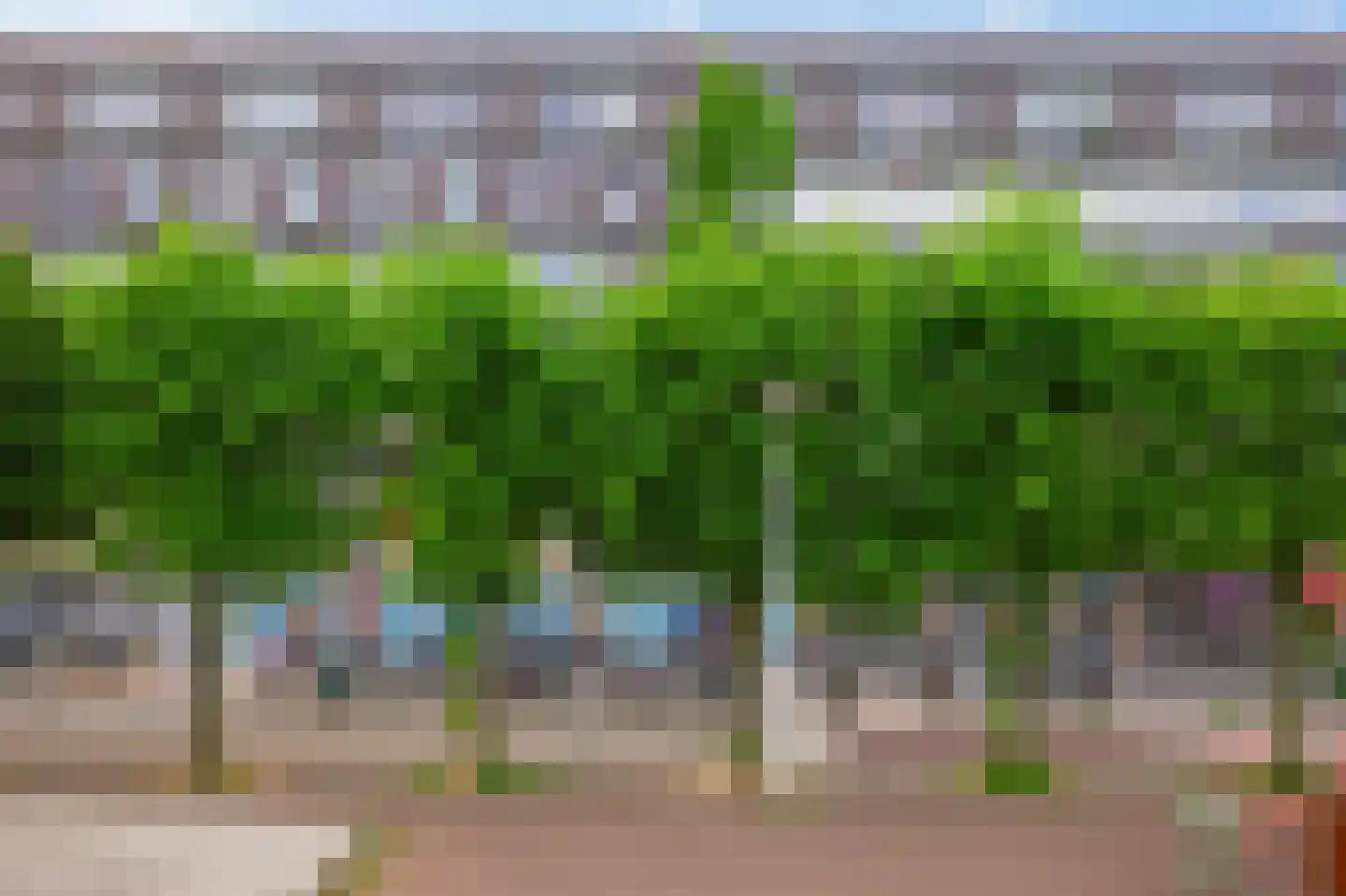 Bos en Lommerplein 46 Amsterdam thumbnail 30