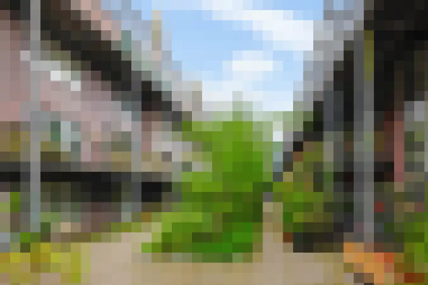 Bos en Lommerplein 46 Amsterdam thumbnail 31