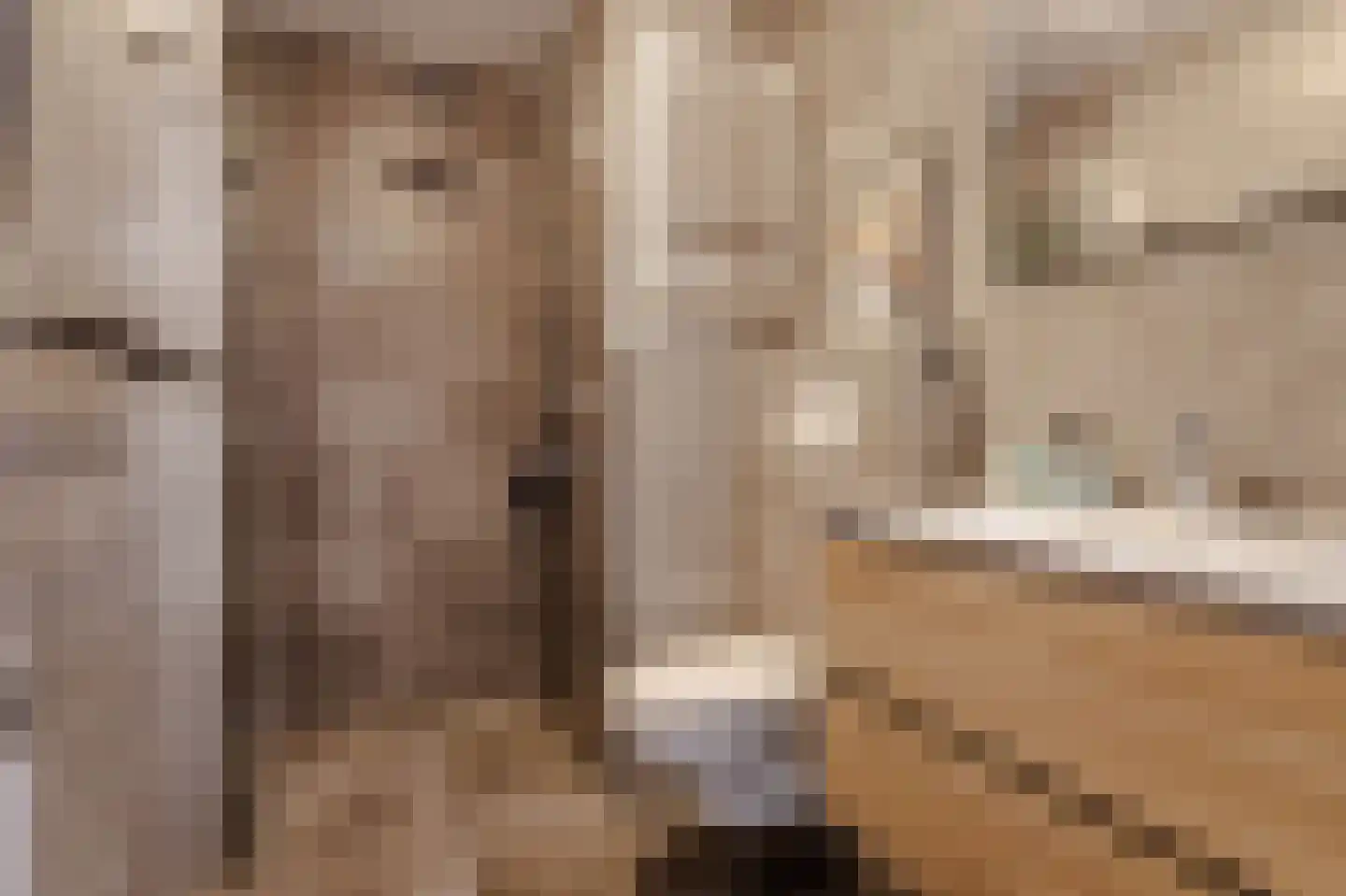 Bos en Lommerplein 62 Amsterdam thumbnail 21