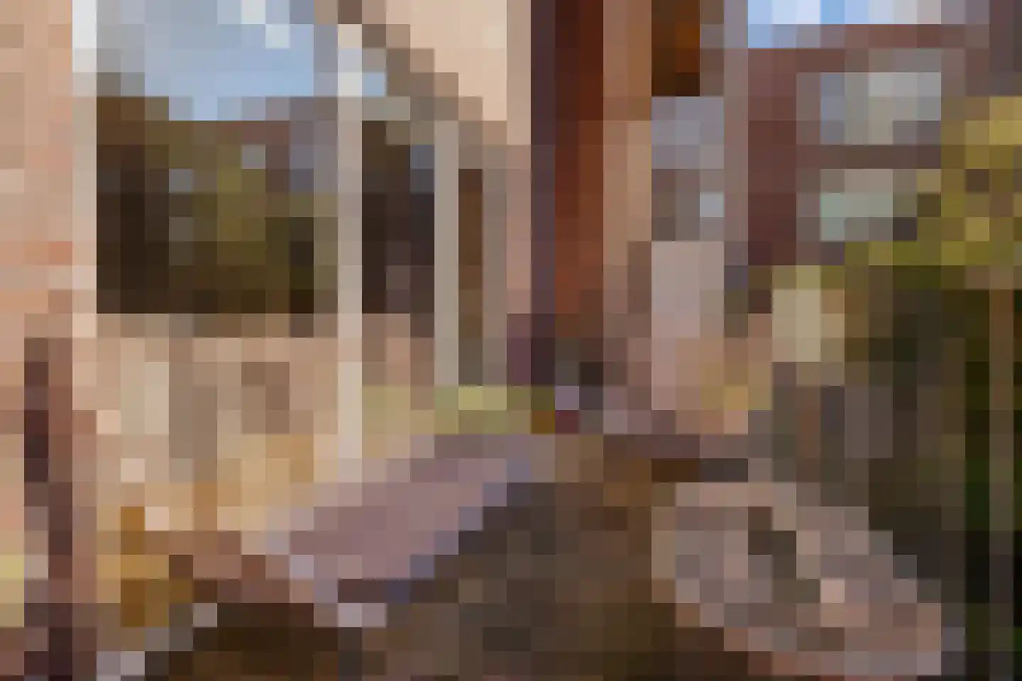 Bos en Lommerplein 62 Amsterdam thumbnail 25