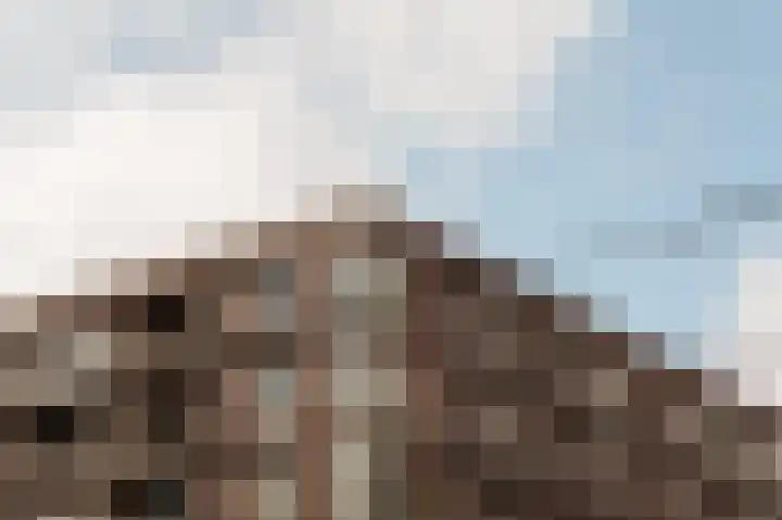 Bos en Lommerplein 64 Amsterdam thumbnail 23