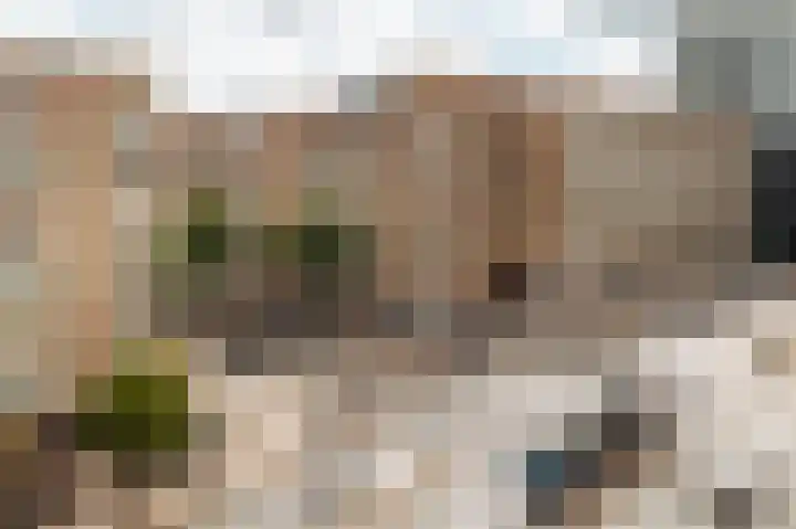 Bos en Lommerplein 64 Amsterdam thumbnail 24